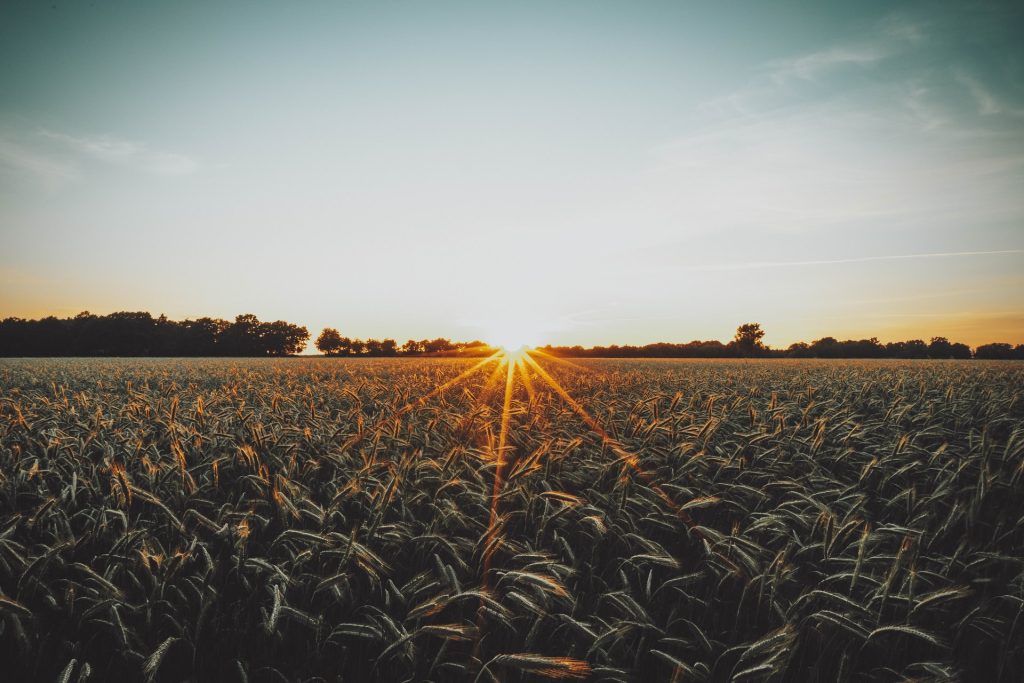 BB Seguros marca presença no Show Rural Coopavel 2022 / Foto: Tim Hüfner / Unsplash Images